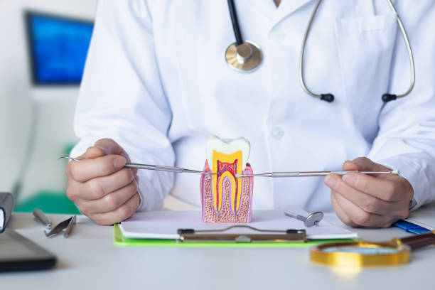 Best Weekend Emergency Dentist in St City, AR